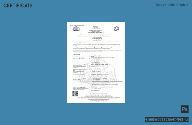 Vorschau einer Sterbeurkunde der Regierung von Kerala, Indien